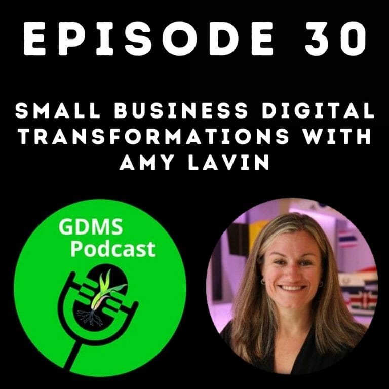 Small Business Digital Transformations with Amy Lavin